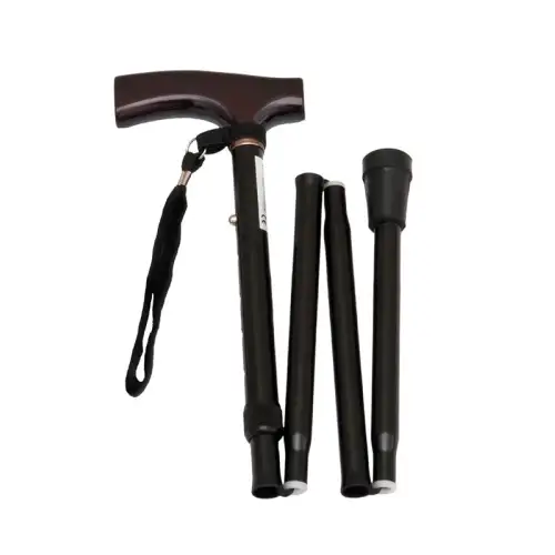 &Mu;&pi;&alpha;&sigma;&tau;&omicron;ύ&nu;&iota; &Alpha;&lambda;&omicron;&upsilon;&mu;&iota;&nu;ί&omicron;&upsilon; &Sigma;&pi;&alpha;&sigma;&tau;ό &Mu;&alpha;ύ&rho;&omicron;