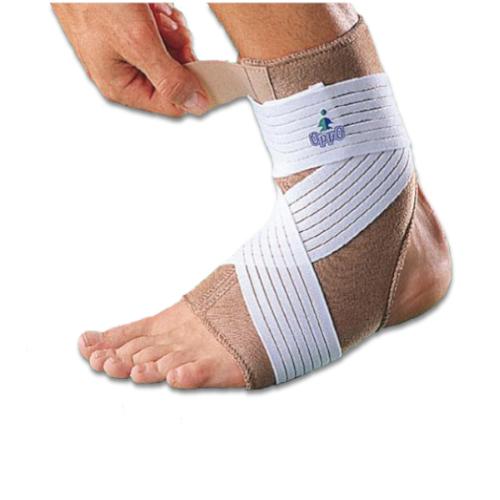 Επιστραγαλίδα με δέστρα