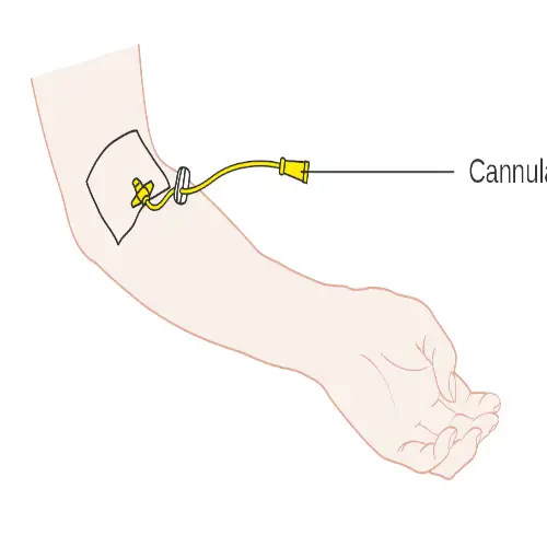 &Epsilon;&nu;&delta;&omicron;&phi;&lambda;έ&beta;&iota;&alpha; &chi;&omicron;&rho;ή&gamma;&eta;&sigma;&eta; &omicron;&rho;&omicron;ύ