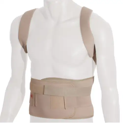 &Kappa;&eta;&delta;&epsilon;&mu;ό&nu;&alpha;&sigmaf; &Tau;ύ&pi;&omicron;&upsilon; Taylor &Mu;&epsilon; &Upsilon;&pi;&omicron;&mu;&alpha;&sigma;&chi;ά&lambda;&iota;&alpha; &epsilon;&lambda;&alpha;&sigma;&tau;&iota;&kappa;ό&sigmaf;