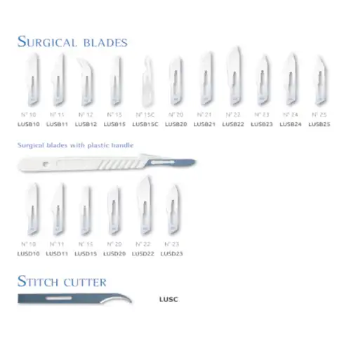 &Nu;&upsilon;&sigma;&tau;έ&rho;&iota; &Chi;&omega;&rho;ί&sigmaf; &Lambda;&alpha;&beta;ή &Nu;&omicron;15 ( &Sigma;&upsilon;&sigma;&kappa;: 100 &tau;&mu;&chi; )