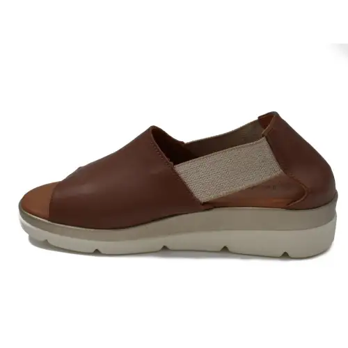 &Alpha;&nu;&alpha;&tau;&omicron;&mu;&iota;&kappa;ό &Gamma;&upsilon;&nu;&alpha;&iota;&kappa;&epsilon;ί&omicron; &Pi;έ&delta;&iota;&lambda;&omicron; &Kappa;&alpha;&phi;έ - &Delta;&epsilon;&rho;&mu;ά&tau;&iota;&nu;&omicron; 2046