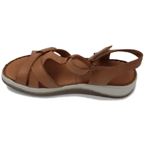 &Alpha;&nu;&alpha;&tau;&omicron;&mu;&iota;&kappa;ό &Gamma;&upsilon;&nu;&alpha;&iota;&kappa;&epsilon;ί&omicron; &Pi;έ&delta;&iota;&lambda;&omicron; &Delta;&epsilon;&rho;&mu;ά&tau;&iota;&nu;&omicron; &Mu;&epsilon; &Lambda;&omicron;&upsilon;&rho;ά&kappa;&iota; - &Kappa;&alpha;&phi;έ 2088