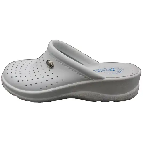 &Alpha;&nu;&alpha;&tau;&omicron;&mu;&iota;&kappa;ό &Gamma;&upsilon;&nu;&alpha;&iota;&kappa;&epsilon;ί&omicron; &Sigma;&alpha;&mu;&pi;ώ - &Lambda;&epsilon;&upsilon;&kappa;ό