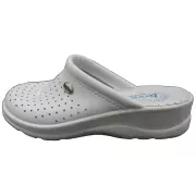 &Alpha;&nu;&alpha;&tau;&omicron;&mu;&iota;&kappa;ό &Gamma;&upsilon;&nu;&alpha;&iota;&kappa;&epsilon;ί&omicron; &Sigma;&alpha;&mu;&pi;ώ - &Lambda;&epsilon;&upsilon;&kappa;ό