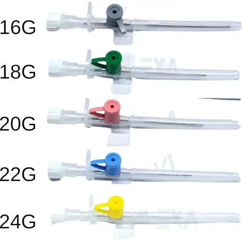 &Phi;&lambda;&epsilon;&beta;&omicron;&kappa;&alpha;&theta;&epsilon;&tau;ή&rho;&epsilon;&sigmaf; &Alpha;&pi;&omicron;&sigma;&tau;&epsilon;&iota;&rho;&omega;&mu;έ&nu;&omicron;&iota; (100 &tau;&mu;&chi;.) 18G | &Pi;&rho;ά&sigma;&iota;&nu;&omicron;&iota;