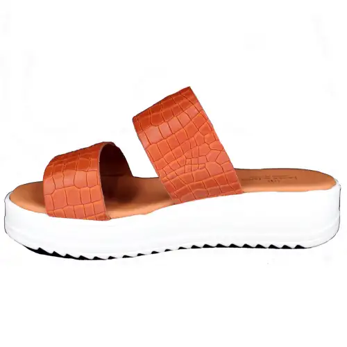 &Alpha;&nu;&alpha;&tau;&omicron;&mu;&iota;&kappa;ή &Gamma;&upsilon;&nu;&alpha;&iota;&kappa;&epsilon;ί&alpha; &Pi;&alpha;&nu;&tau;ό&phi;&lambda;&alpha; - &Tau;&alpha;&mu;&pi;ά | 622004