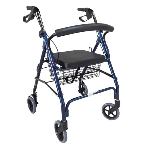 &Pi;&epsilon;&rho;&iota;&pi;&alpha;&tau;&eta;&tau;ή&rho;&alpha;&sigmaf; &Tau;&rho;&omicron;&chi;ή&lambda;&alpha;&tau;&omicron;&sigmaf; &ldquo;Rollator&rdquo; | &Mu;&pi;&lambda;&epsilon;