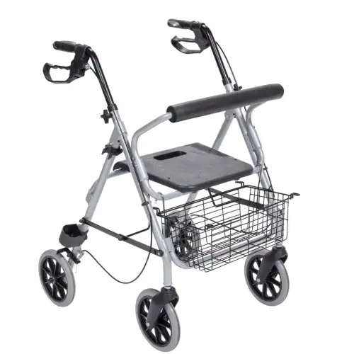 &Pi;&epsilon;&rho;&iota;&pi;&alpha;&tau;&eta;&tau;ή&rho;&alpha;&sigmaf; Rollator &Alpha;&lambda;&omicron;&upsilon;&mu;&iota;&nu;ί&omicron;&upsilon; &ldquo;Silver&rdquo;