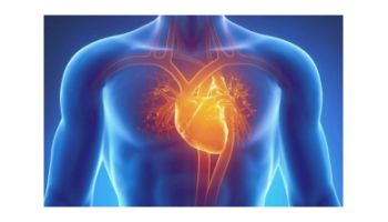 &Sigma;&tau;&epsilon;&phi;&alpha;&nu;&iota;&omicron;&gamma;&rho;&alpha;&phi;ί&alpha; : &Tau;ί &epsilon;ί&nu;&alpha;&iota; & &gamma;&iota;&alpha;&tau;ί &epsilon;ί&nu;&alpha;&iota; &sigma;&eta;&mu;&alpha;&nu;&tau;&iota;&kappa;ή!