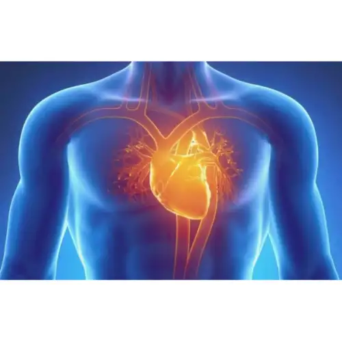 &Sigma;&tau;&epsilon;&phi;&alpha;&nu;&iota;&omicron;&gamma;&rho;&alpha;&phi;ί&alpha; : &Tau;ί &epsilon;ί&nu;&alpha;&iota; & &gamma;&iota;&alpha;&tau;ί &epsilon;ί&nu;&alpha;&iota; &sigma;&eta;&mu;&alpha;&nu;&tau;&iota;&kappa;ή!