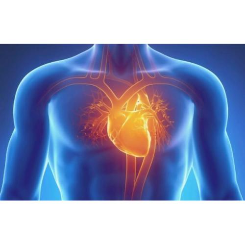 Στεφανιογραφία : Τί είναι & γιατί είναι σημαντική!