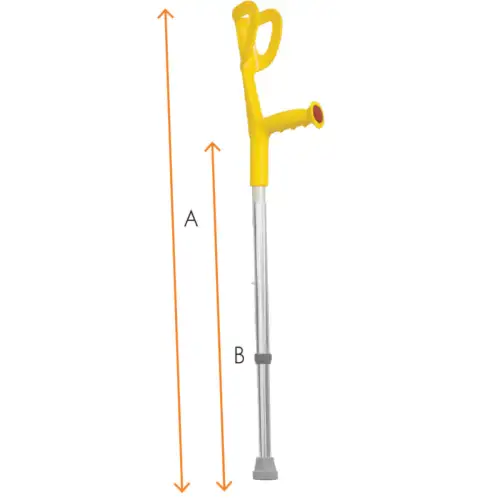 &Beta;&alpha;&kappa;&tau;&eta;&rho;ί&alpha; &Alpha;&gamma;&kappa;ώ&nu;&alpha; &Kappa;ί&tau;&rho;&iota;&nu;&eta; - &Pi;&alpha;&iota;&delta;&iota;&kappa;ή 