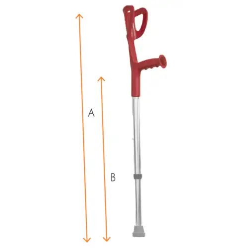 &Beta;&alpha;&kappa;&tau;&eta;&rho;ί&alpha; &Alpha;&gamma;&kappa;ώ&nu;&alpha; &Kappa;ό&kappa;&kappa;&iota;&nu;&eta; - &Pi;&alpha;&iota;&delta;&iota;&kappa;ή 