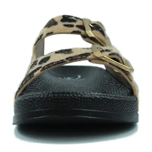 2625 &Lambda;&Epsilon;&Omicron;&Pi;&Alpha;&Rho; &Eta;