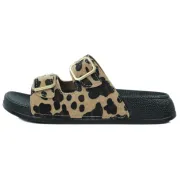 2625 &Lambda;&Epsilon;&Omicron;&Pi;&Alpha;&Rho; &Beta;