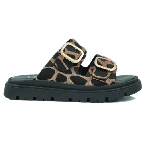 1202 &Kappa;&Alpha;&Phi;&Epsilon; &Alpha;