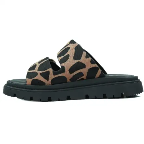 1202 &Kappa;&Alpha;&Phi;&Epsilon; &Beta;