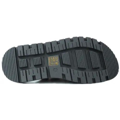 1202 &Kappa;&Alpha;&Phi;&Epsilon; &Eta;